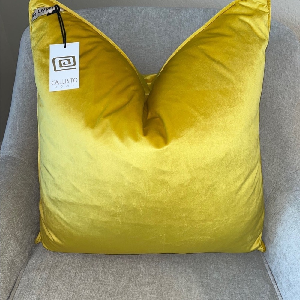 1-NWT CALLISTO HOME LUXURY
DECORATIVE PILLOW (T1474F42)